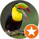Yılmaz ozic profil fotoğrafı
