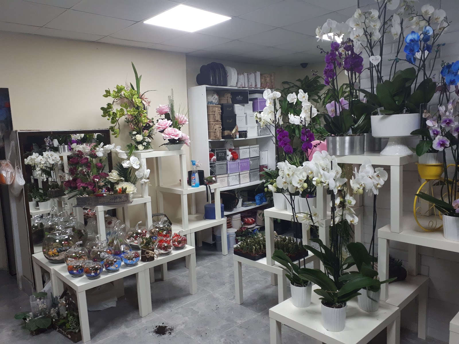 İzmir Ladin Çiçekçilik | İzmir Çiçekçi