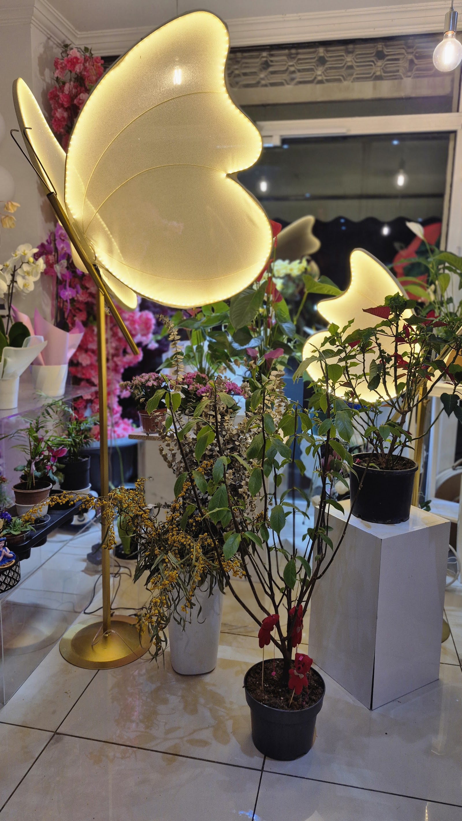 Pera Bouquet Çiğli Çiçek & Balon Dükkanı & Parti Malzemeleri