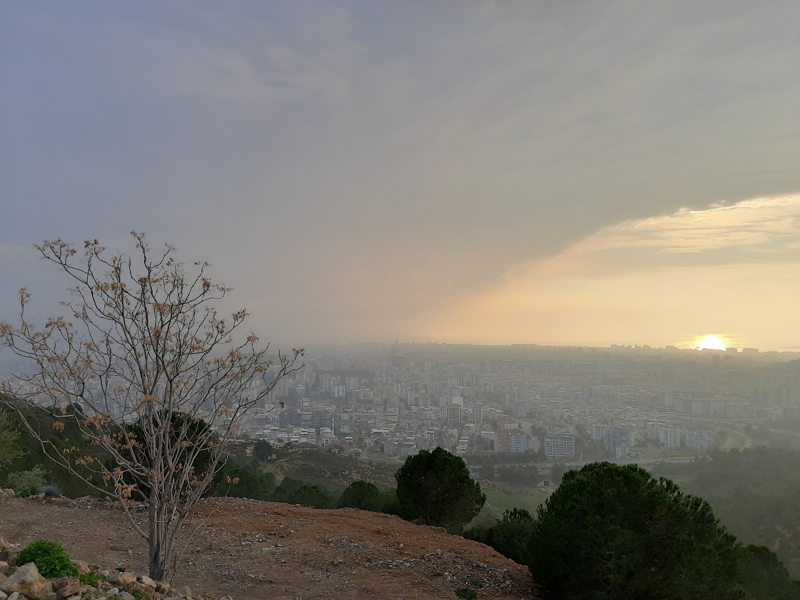 Seyirtepe Gardenya Bahçe — Bayraklı, İzmir kır düğünü mekanı görsel 5