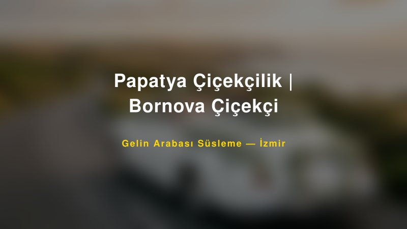 Papatya Çiçekçilik | Bornova Çiçekçi — İzmir Kır Düğünü Mekanı Rehberi